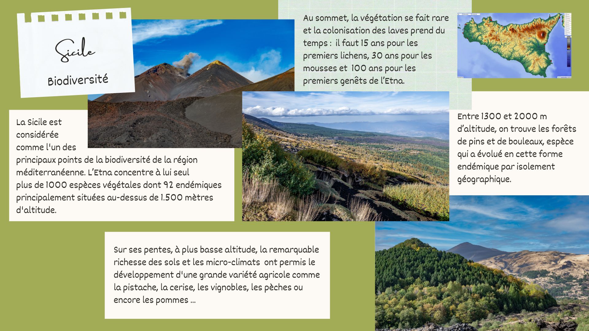 daac-erasmus-faune Etna biodiversité