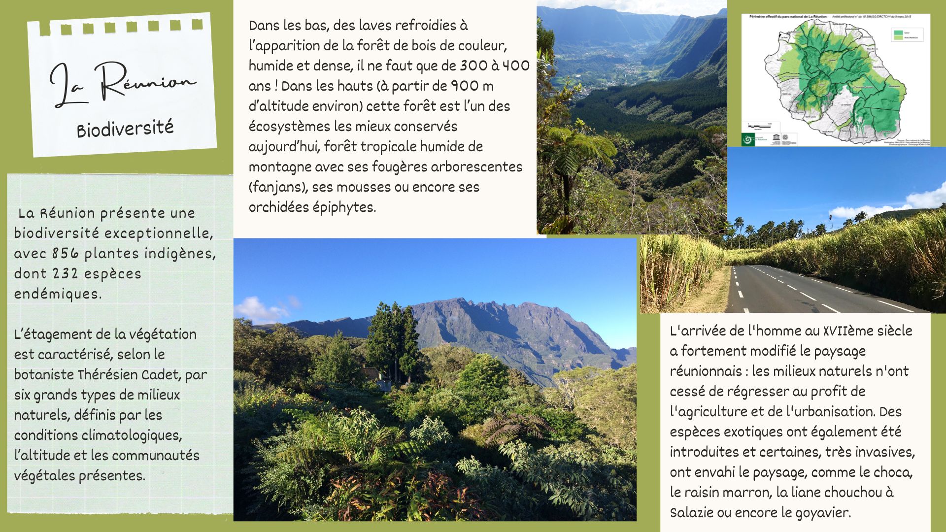 DAAC-erasmus-fauneRéunion-biodiversité